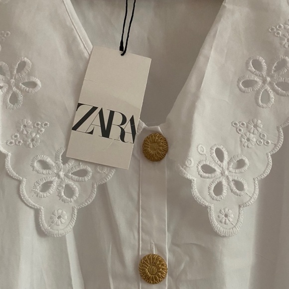 Blogger Favorite ZARA Guipure Poplin Collar Dress - Picture 6 of 6